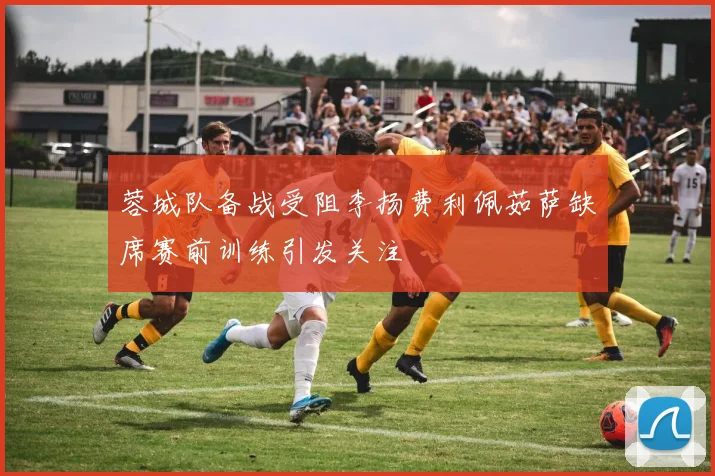 蓉城队备战受阻李扬费利佩茹萨缺席赛前训练引发关注
