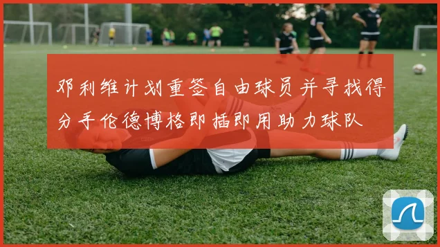 邓利维计划重签自由球员并寻找得分手伦德博格即插即用助力球队