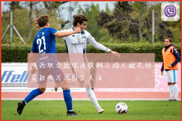 陕西联合因球迷投掷冷焰火被足协罚款两万元引发关注